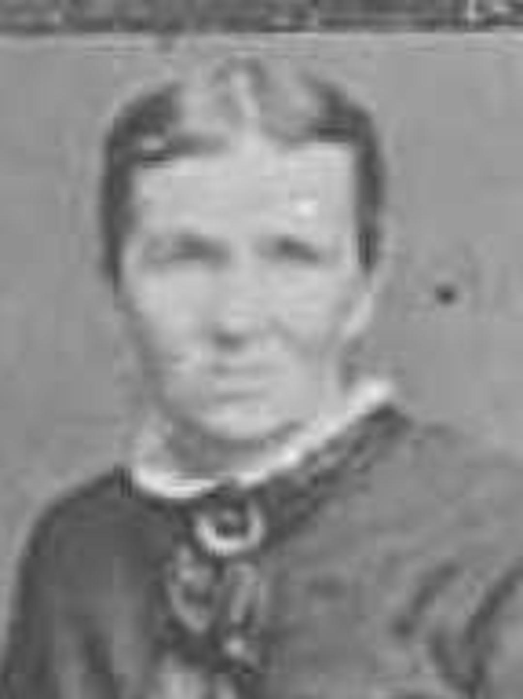 Elzadie Emeline Ford (1827 - 1887) Profile